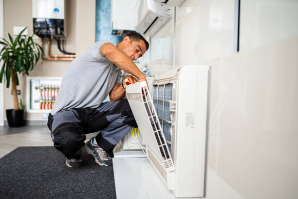 Best Professional Duct Cleaning Services  in Flushing, MI