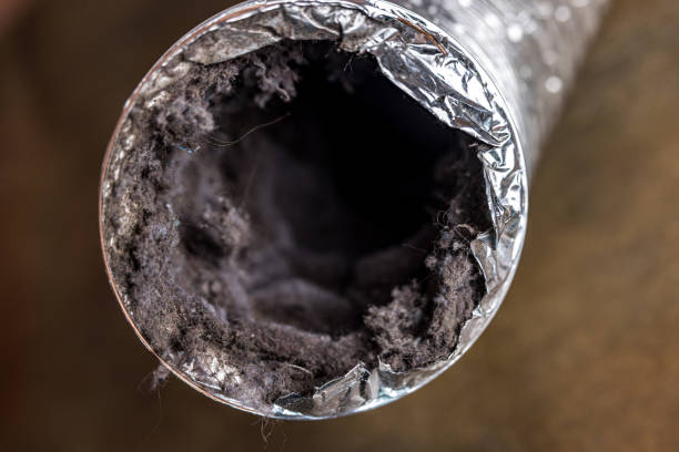 Best Home Air Vent Cleaning  in Flushing, MI
