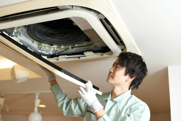 Best Air Duct Sanitizing Services  in Flushing, MI
