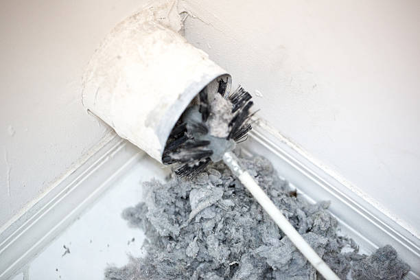 Best Local Air Duct Cleaning Services  in Flushing, MI