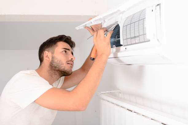 Best Home Air Vent Cleaning  in Flushing, MI