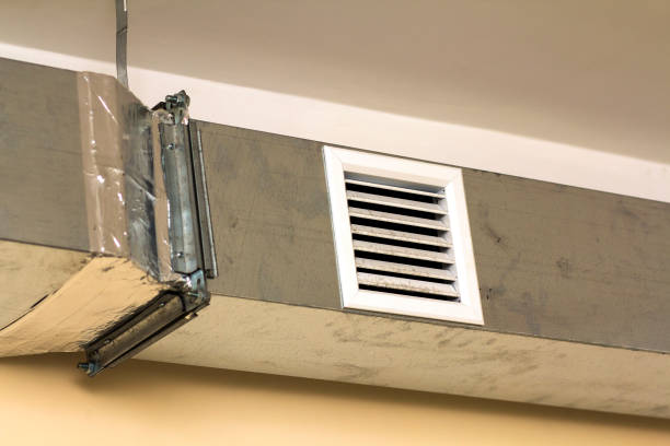 Air Duct Mold Removal in Flushing, MI